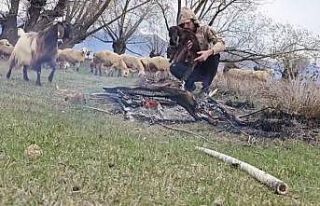 Doluya yakalanan sürüde ıslanan oğlağı ateş...