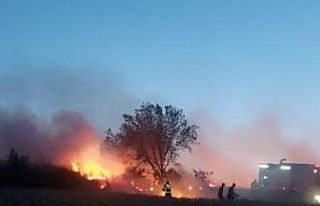 Düğünde atılan havai fişek buğday tarlasını...