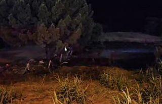 Düğünden atılan havai fişek otluk alanda yangın...