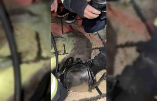 Dumandan etkilenen kediyi oksijen maskesiyle kurtardılar
