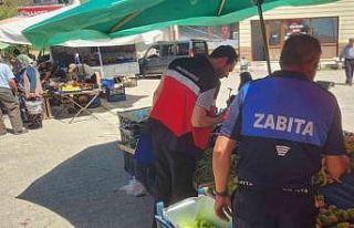 Dumlupınar’da gıda denetimi