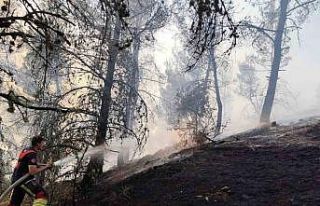 Dursunbey’de orman yangını