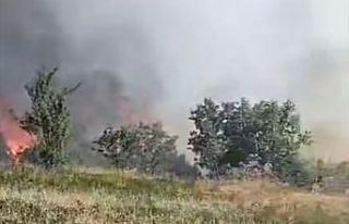 Düzce’de orman yangını: 5 hektarlık alan küle...