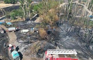 Eber Gölü yanındaki tarım arazilerinde yangın...