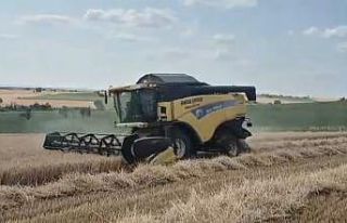 Edirne’de buğday hasadı başladı: Üretici verimden...