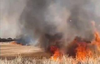 Edirne’de buğday tarlaları alev alev yandı