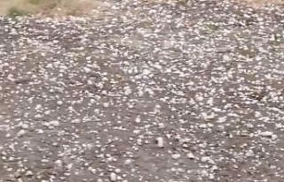 Edirne’de dolu yağışı etkili oldu