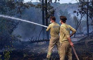 Edirne’de orman yangını: İstanbul, Tekirdağ,...