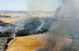 Edirne’de tarlada çıkan yangın söndürüldü