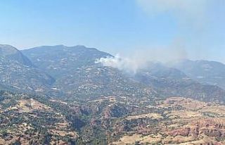 Efeler Horozköy’de yangın