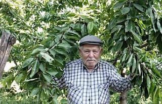 Ege bu yıl meyveye hasret