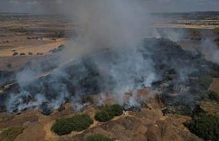 Ekili alanda çıkan yangın kısa sürede kontrol...