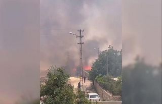 Ekin yangını korkuttu