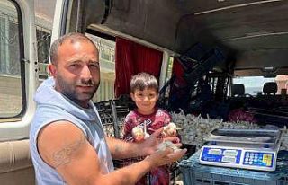 Ekmek parasını kazanmak için binlerce kilometre...