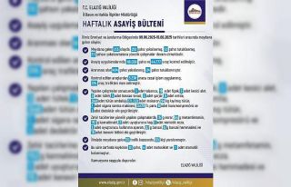 Elazığ’da 1 haftada 213 olay meydana geldi, 212...