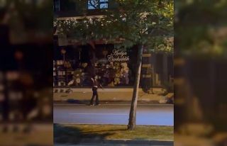 Elazığ’da kadın, bir iş yerine taşla saldırdı