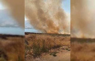 Elazığ’da otluk alanda çıkan yangın korkuttu