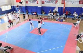 Elazığ’da taekwondo heyecanı