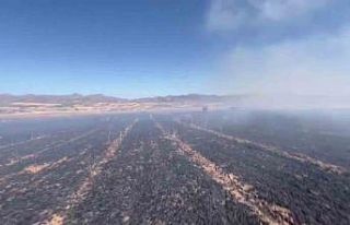 Elazığ’da yangın, 60 dönümlük ekili alanı...