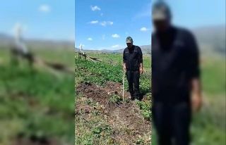 Elazığlı çiftçi, çilek bahçesini talan eden...