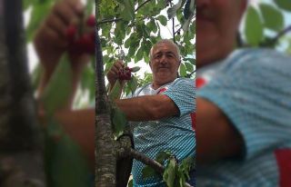 Elektrik akımına kapıldı, hayatını kaybetti