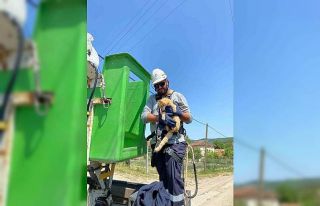 Elektrik direğinde mahsur kalan kedi kurtarıldı
