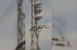 Elektrik hattında çıkan yangın korkuttu