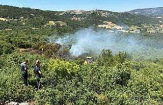 Enerji nakil hattından çıkan orman yangını kontrol...