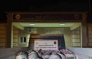 Erciş’te 2 ton kaçak avlanmış balık ele geçirildi