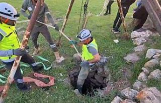 Eruh’ta kuyuya düşen dana kurtarıldı