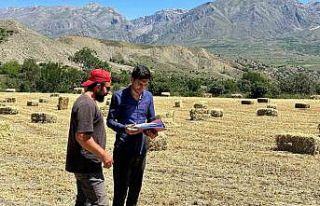 Erzincan genelinde yem bitkisi kontrolleri başladı