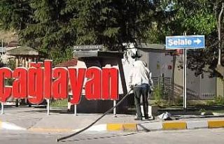 Erzincan’da arı paniği