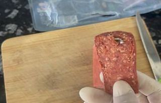 Erzincan’da sucuktan çıkan şok etti!