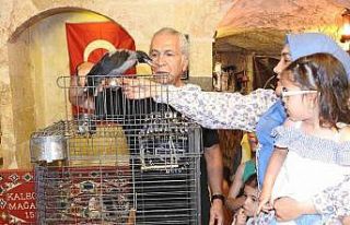 Esnafın sahiplendiği karga ile dostluğu görenleri...