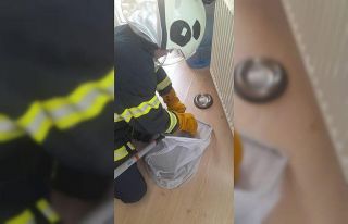 Eve giren yarasa yakalanarak dışarıya bırakıldı