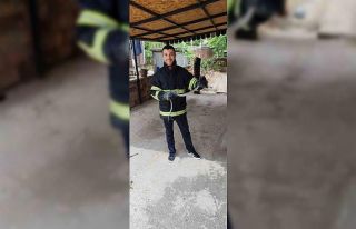 Eve giren yılan itfaiyeyi seferber etti.