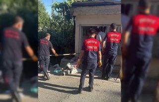 Eve giren yılan korkuttu