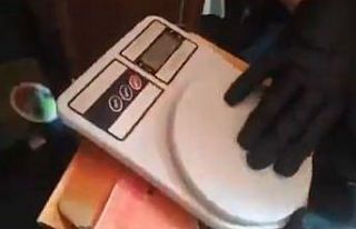 Evinin bahçesinde 290 kök kenevir yetiştiren tacir...