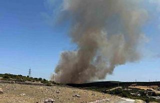 Ezine’de tarım arazisinde başlayan yangın ormanlık...