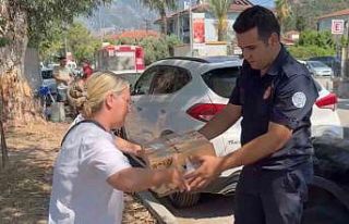 Fethiye’de otomobilde sıkışan yavru kedi kurtarıldı