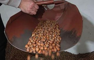 Fındıkta stoklar eriyor, yeni sezonun yolu açılıyor