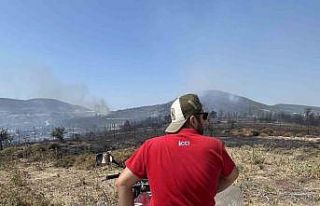 Foça yangınında alevler evlerin bahçelerine kadar...