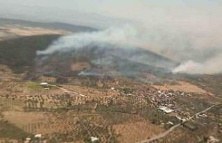 Foça yangınında ekip sayısı artırıldı