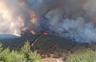 Foça’da orman yangınına havadan 11 uçakla müdahale