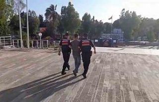 Foça’daki orman yangınıyla ilgili 1 tutuklama