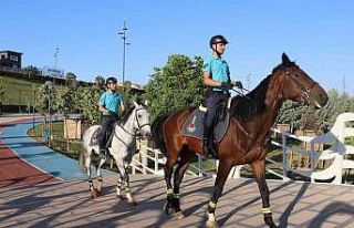 Gaziantep’te atlı jandarma birlikleri görev başında
