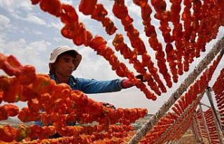 Gaziantep’te kurutmalık sezonu başladı