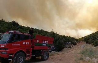 Gaziantep’te orman yangını: Yangına havadan ve...