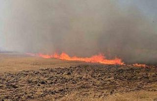 Gaziantep’teki çıkan anız yangını fabrikaları...