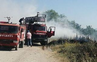 Gelendost’ta göl kenarında çıkan yangında 200...